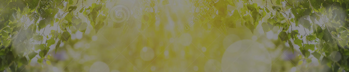 slider_image